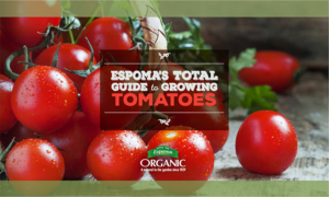 Total Guide to Growing Tomatoes with Organic Fertilizer